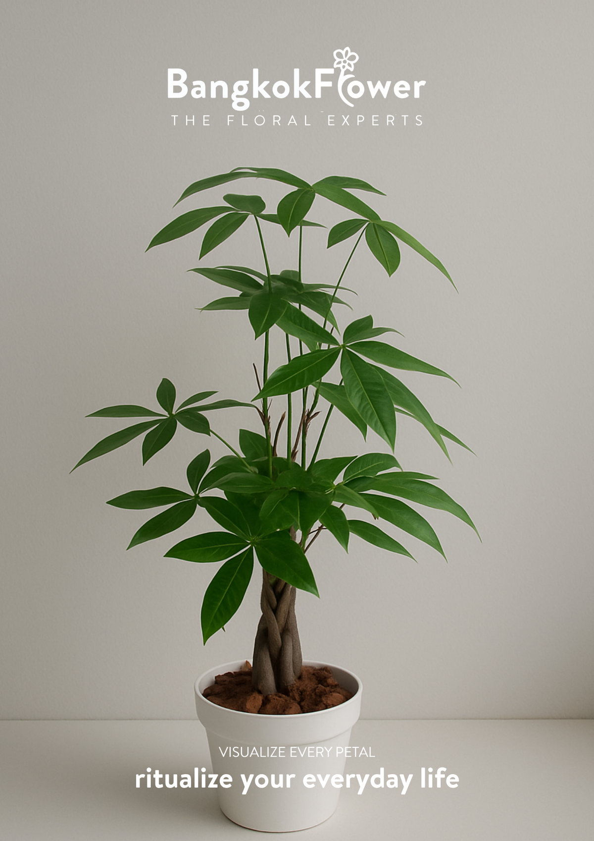 Money Tree