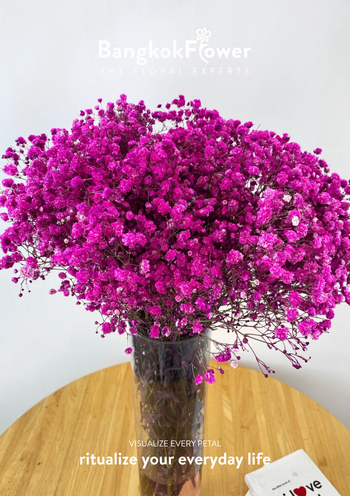 Gypsophila DarkPink