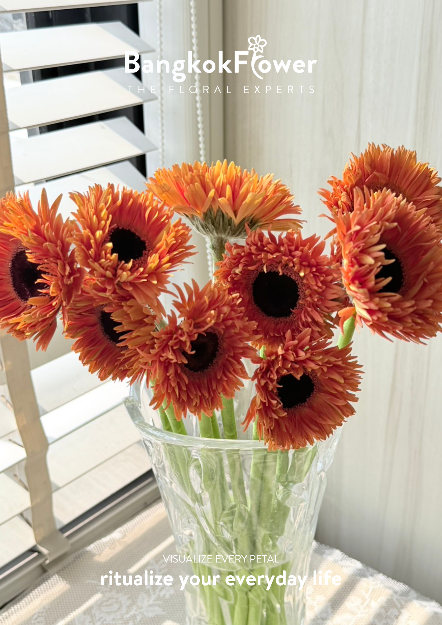 Gerbera Radiant Orange