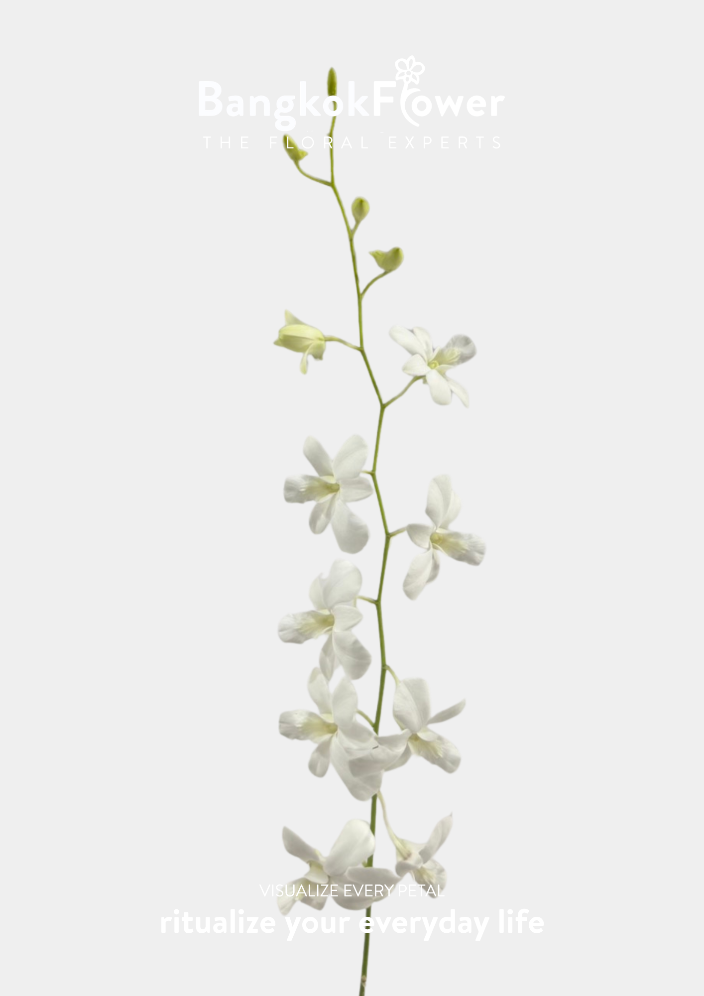 Pure white