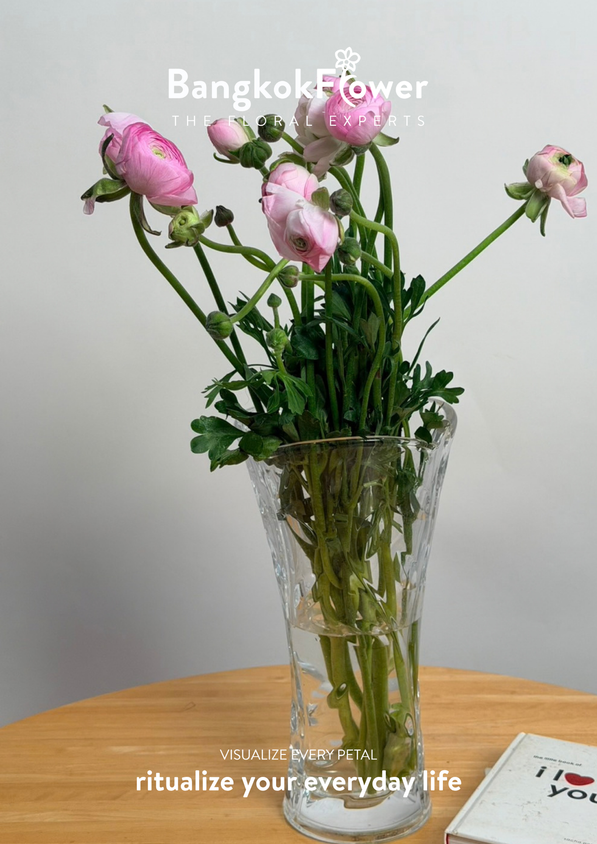 Ranunculus pink