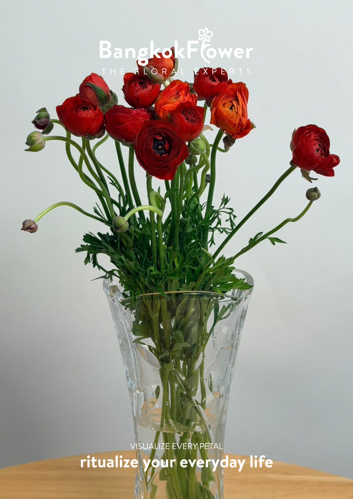 Ranunculus red