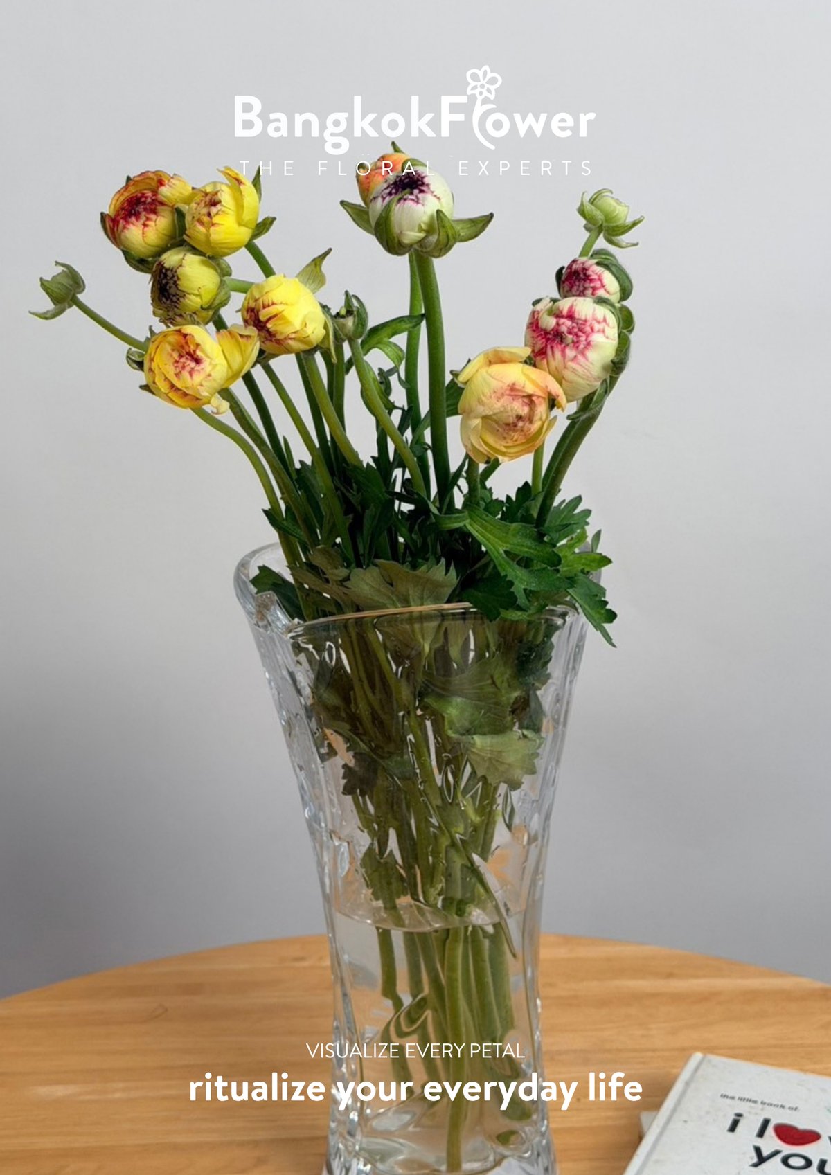 Ranunculus Picotee