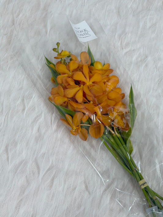 Orange Mokara Orchid Bouquet