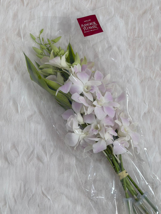 Light Pink Dendrobium Orchid Bouquet