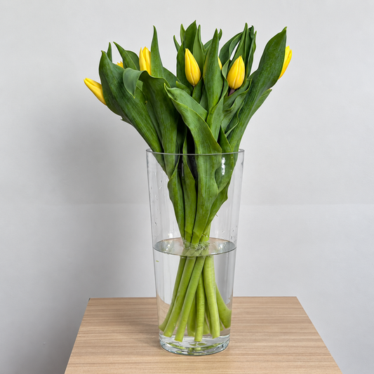 Tulip yellow bouquet