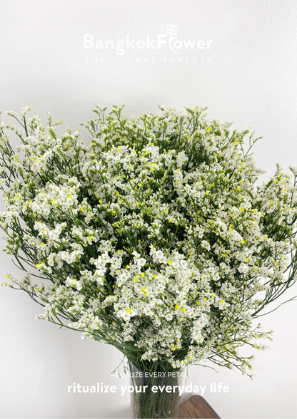 Sui White