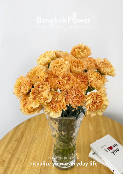 Carnation B Orange