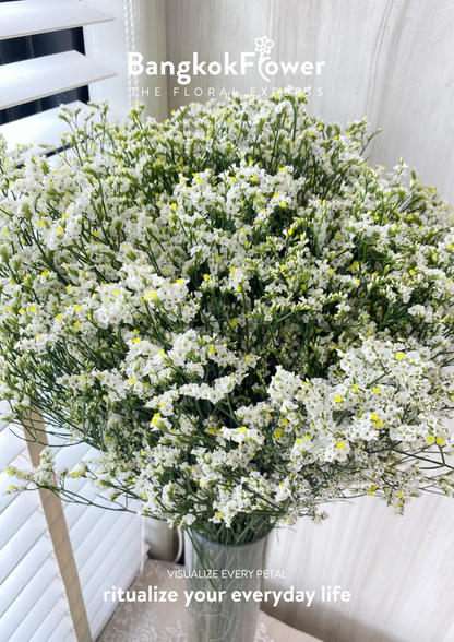 Sui White