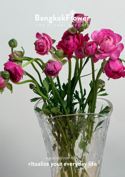 Ranunculus Hot Pink