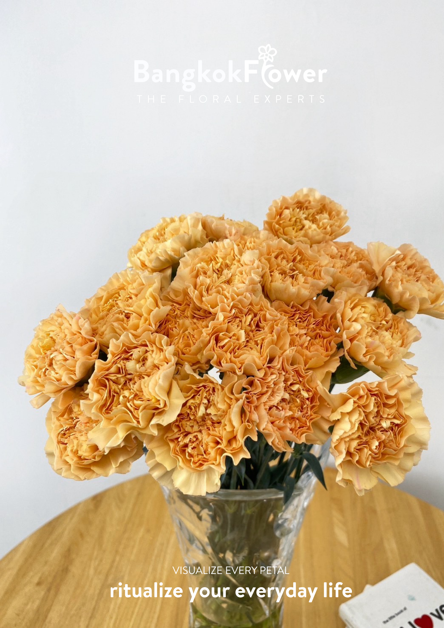 Carnation B Orange
