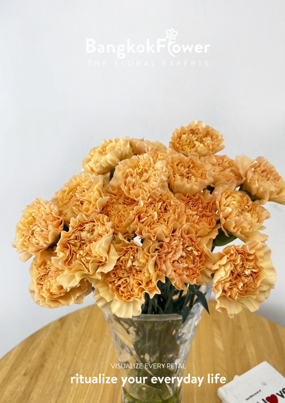 Carnation B Orange