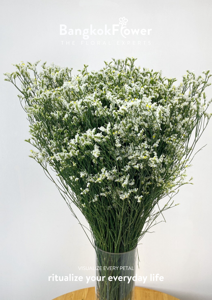 Sui White