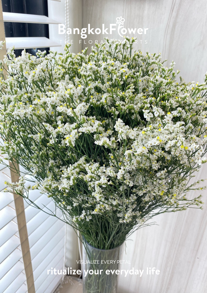 Sui White