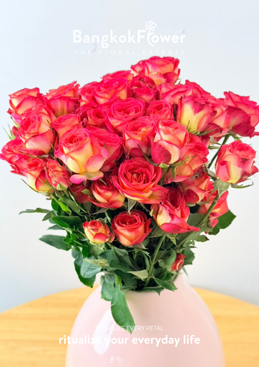 Spray Rose Hot Pink Sunrise