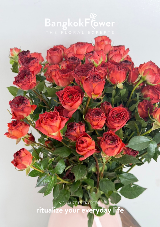 Spray Rose Red Velvet