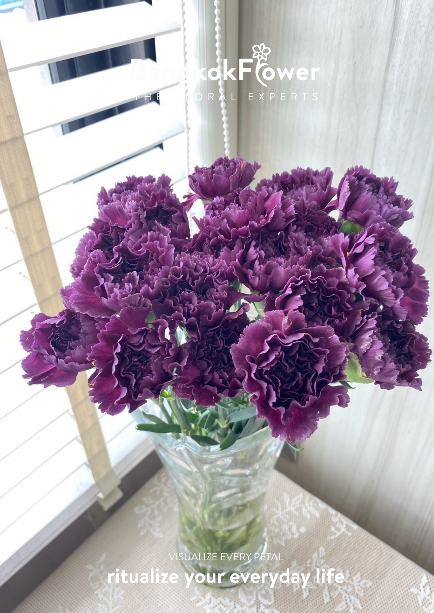 ดอกคาร์เนชั่น บี สีม่วง