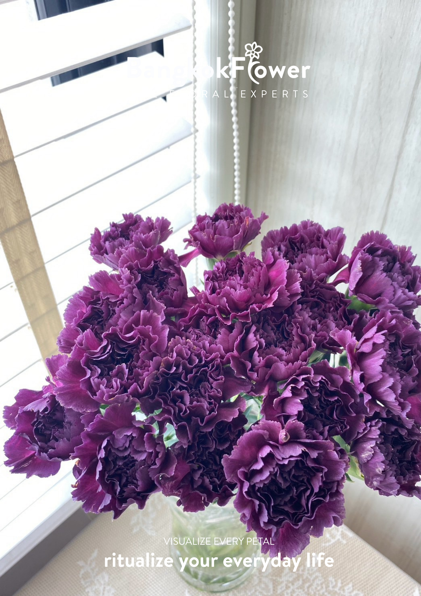 ดอกคาร์เนชั่น บี สีม่วง