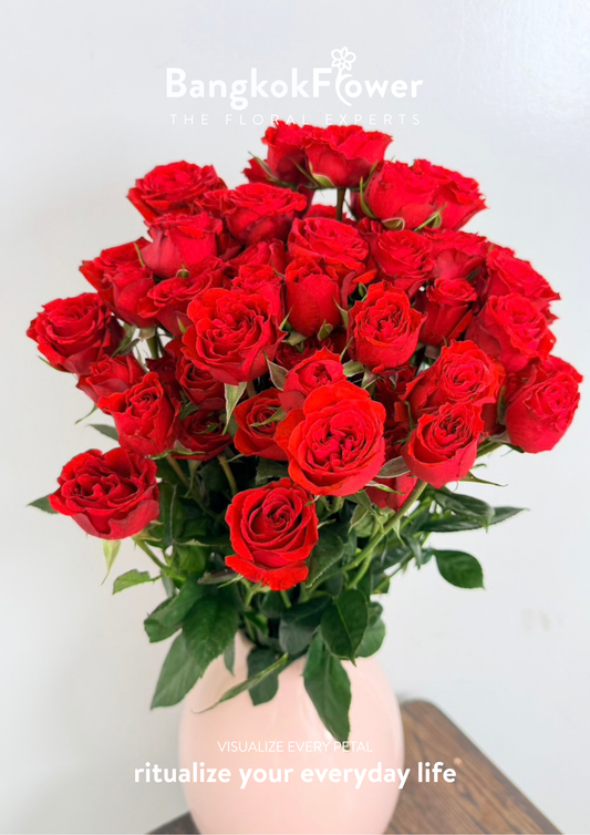 Spary Rose Red