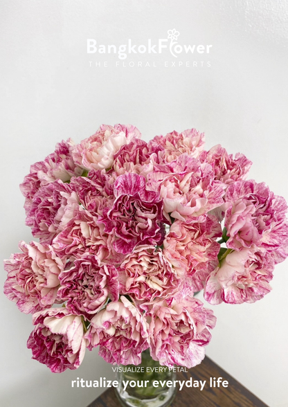 ดอกคาร์เนชั่น บี สีม่วงขาว