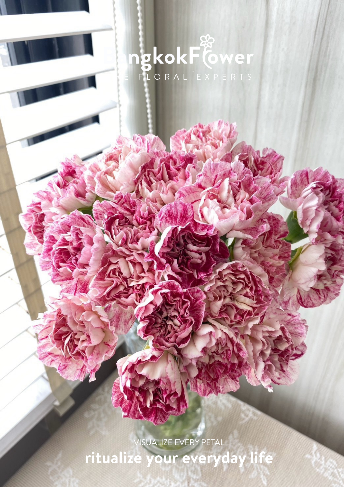 ดอกคาร์เนชั่น บี สีม่วงขาว