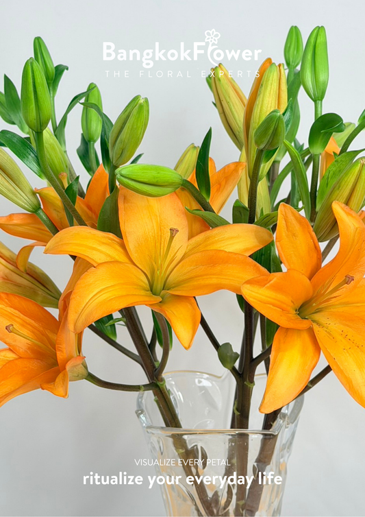 Lily Orange Ocean