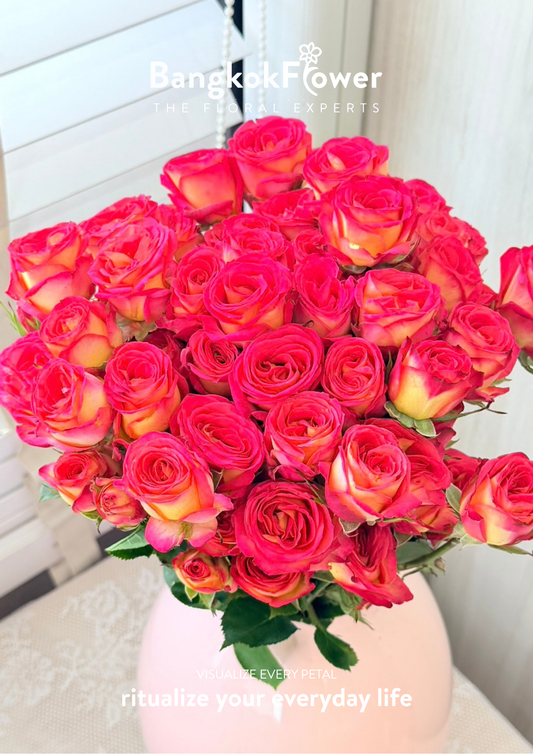 Spray Rose Hot Pink Sunrise