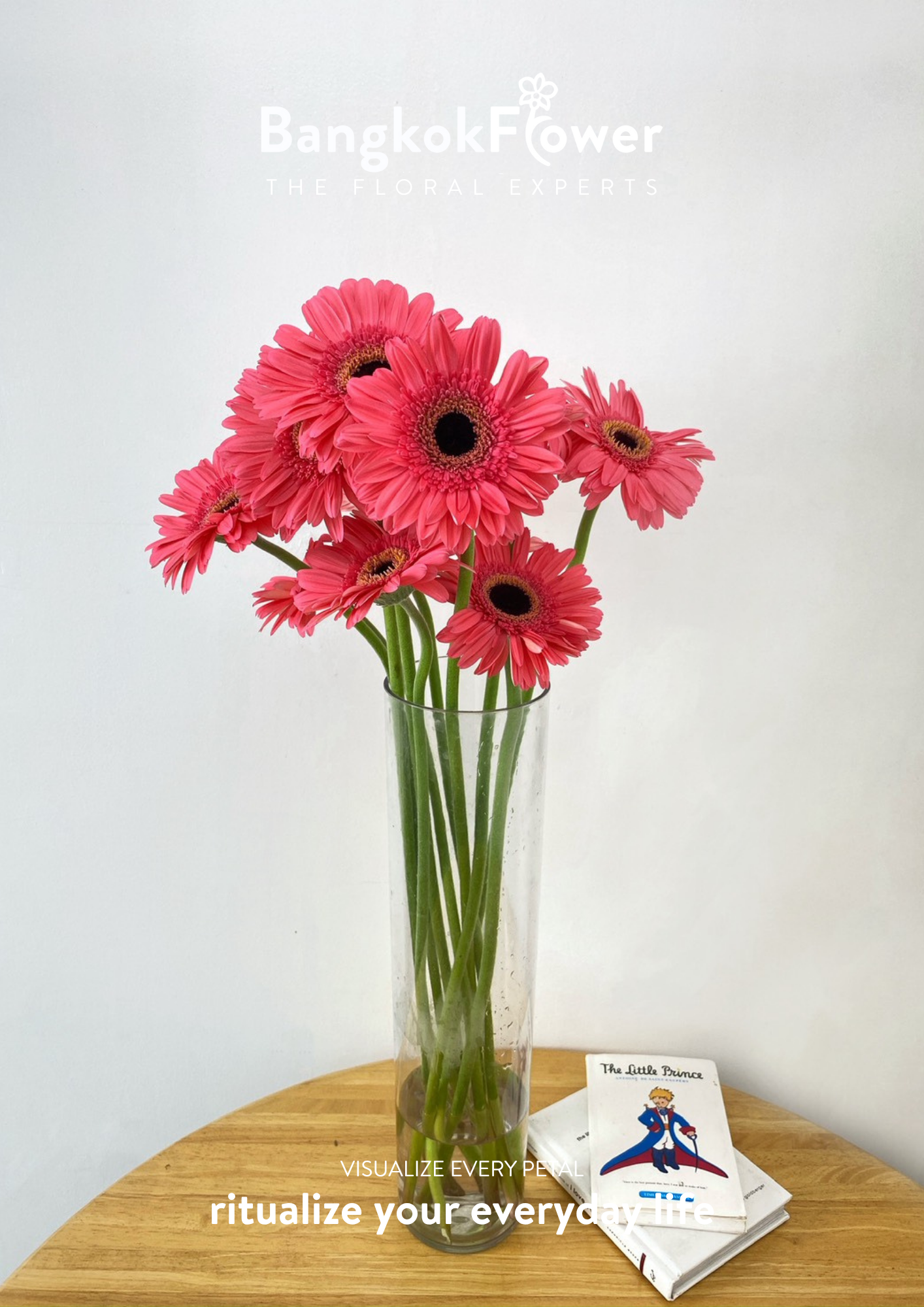 Fuchsia Pink Gerbera