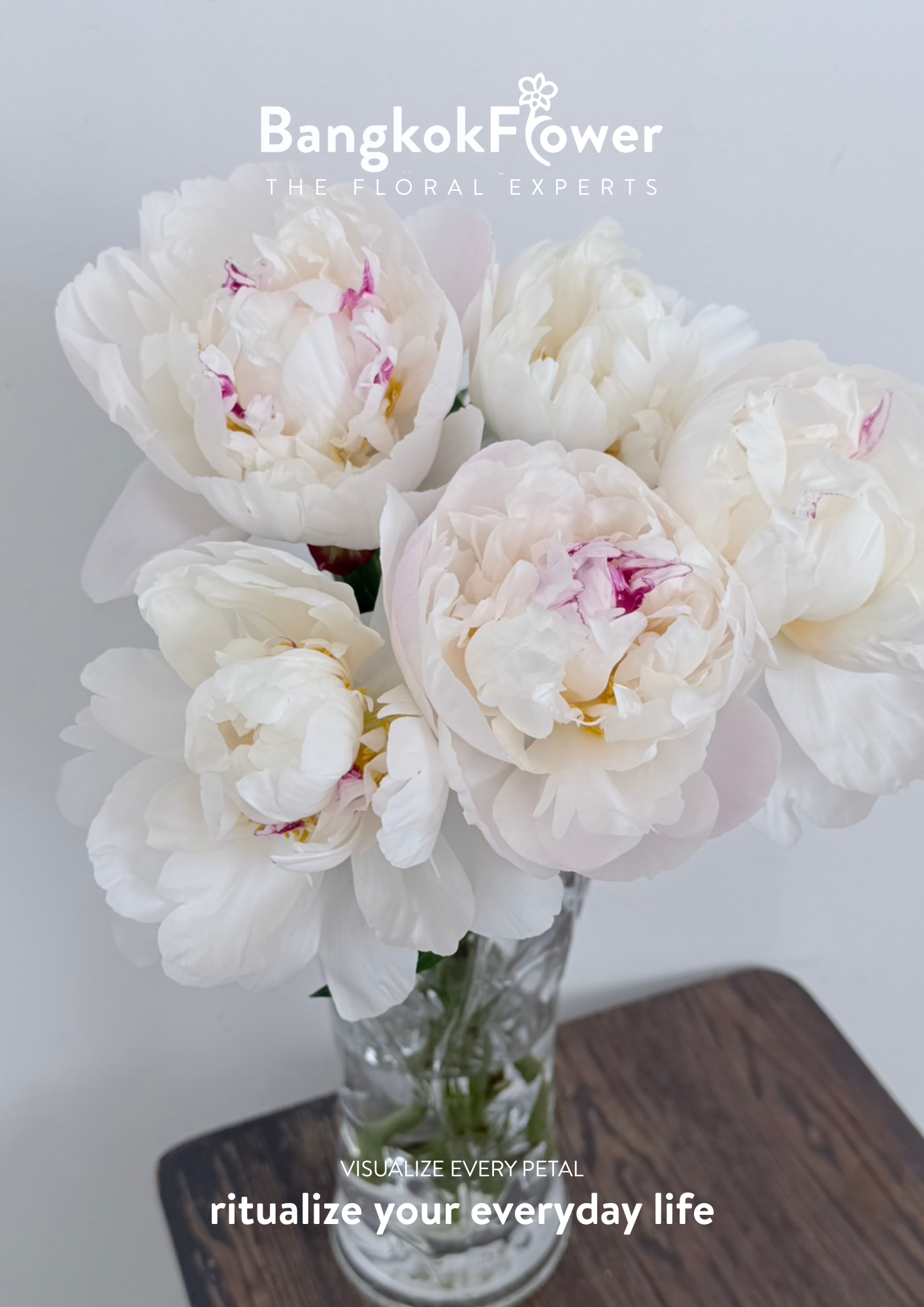 Peony Gardenia