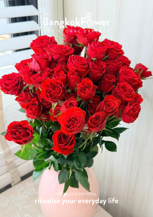 Spary Rose Red