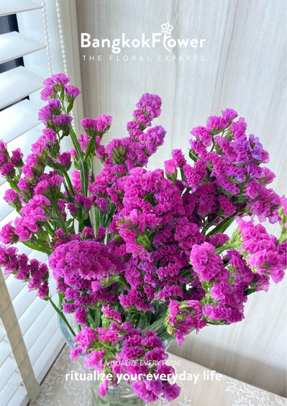 สแตติสสีชมพูเข้ม
