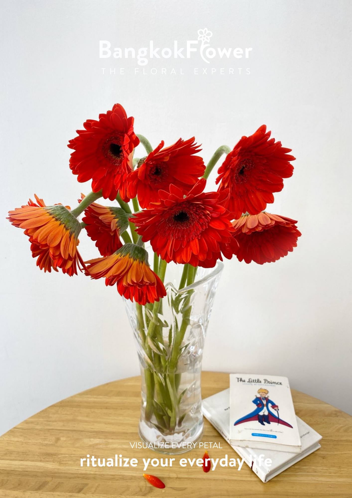 Scarlet Red Gerbera