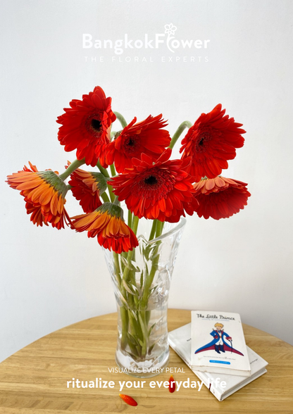 Scarlet Red Gerbera