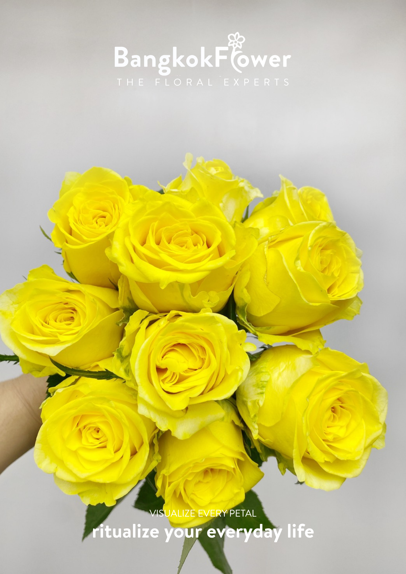 กุหลาบสีเหลือง