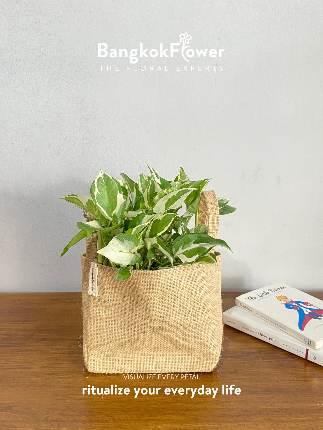 พลูงาช้าง Green and White Variegated Pothos