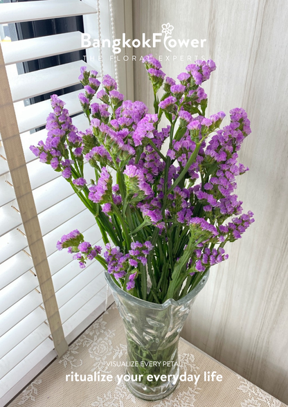 Statice Light Purple