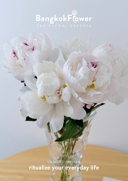 Peony Gardenia