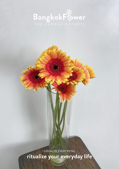 Sunset Glow Gerbera