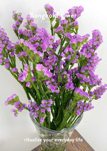 Statice Light Purple