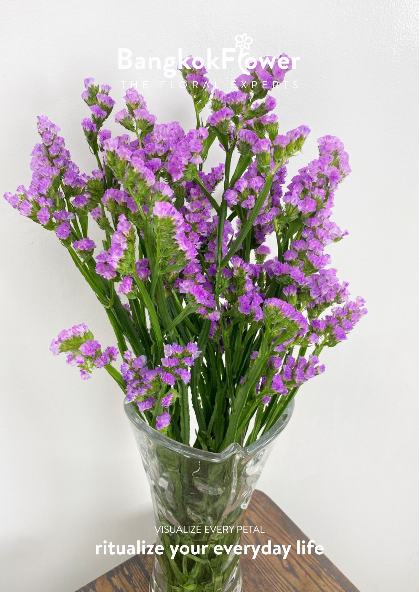 Statice Light Purple