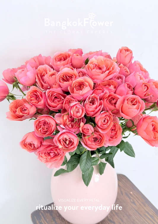 Spray Rose Coral Pink