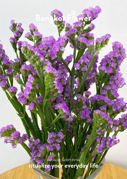 Statice Light Purple