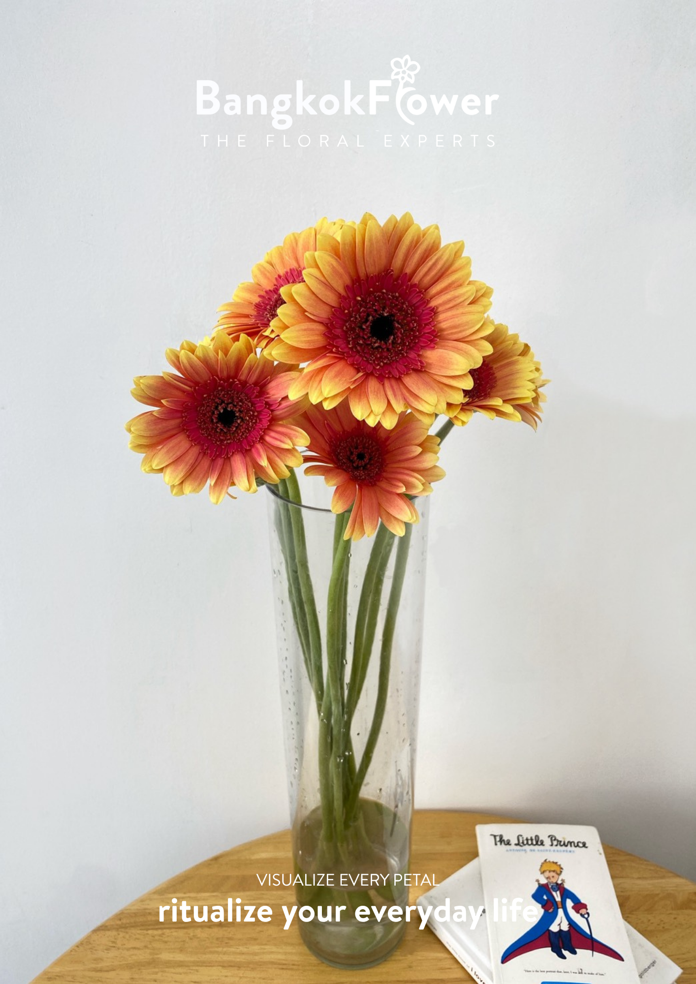 Sunset Glow Gerbera