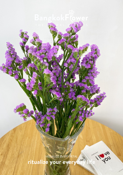 Statice Light Purple