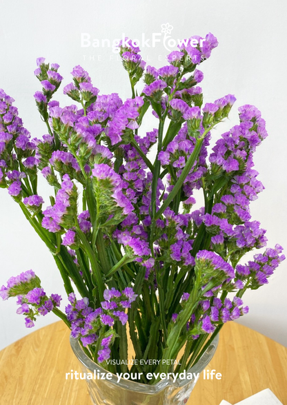 Statice Light Purple