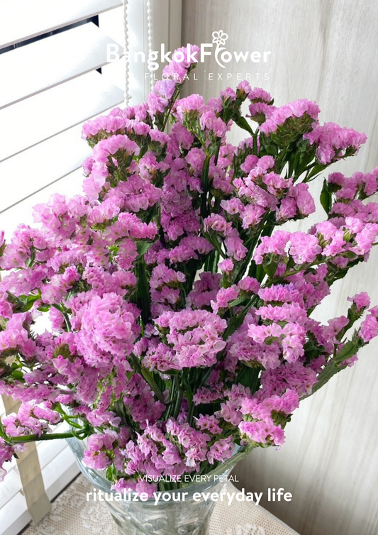 สีชมพูสตาทิส