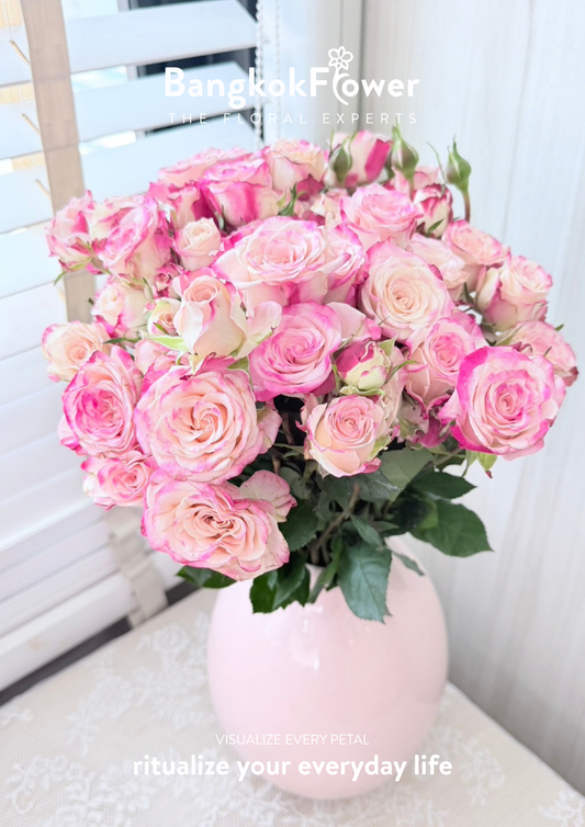 Spray Rose Pink Cream