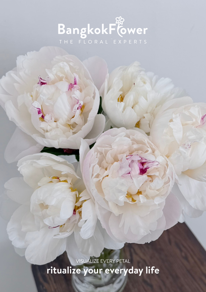 Peony Gardenia
