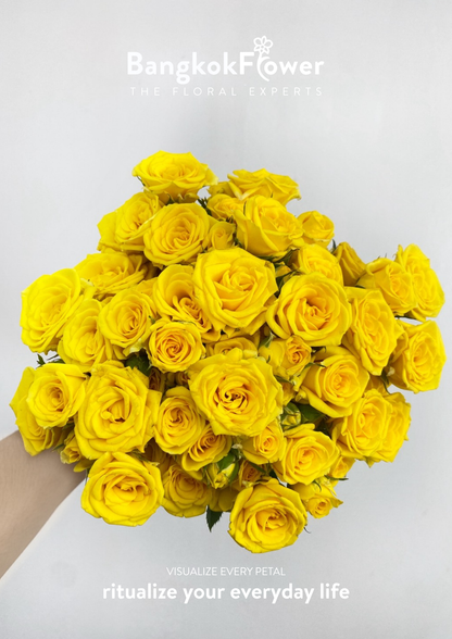 สเปรย์กุหลาบสีเหลือง