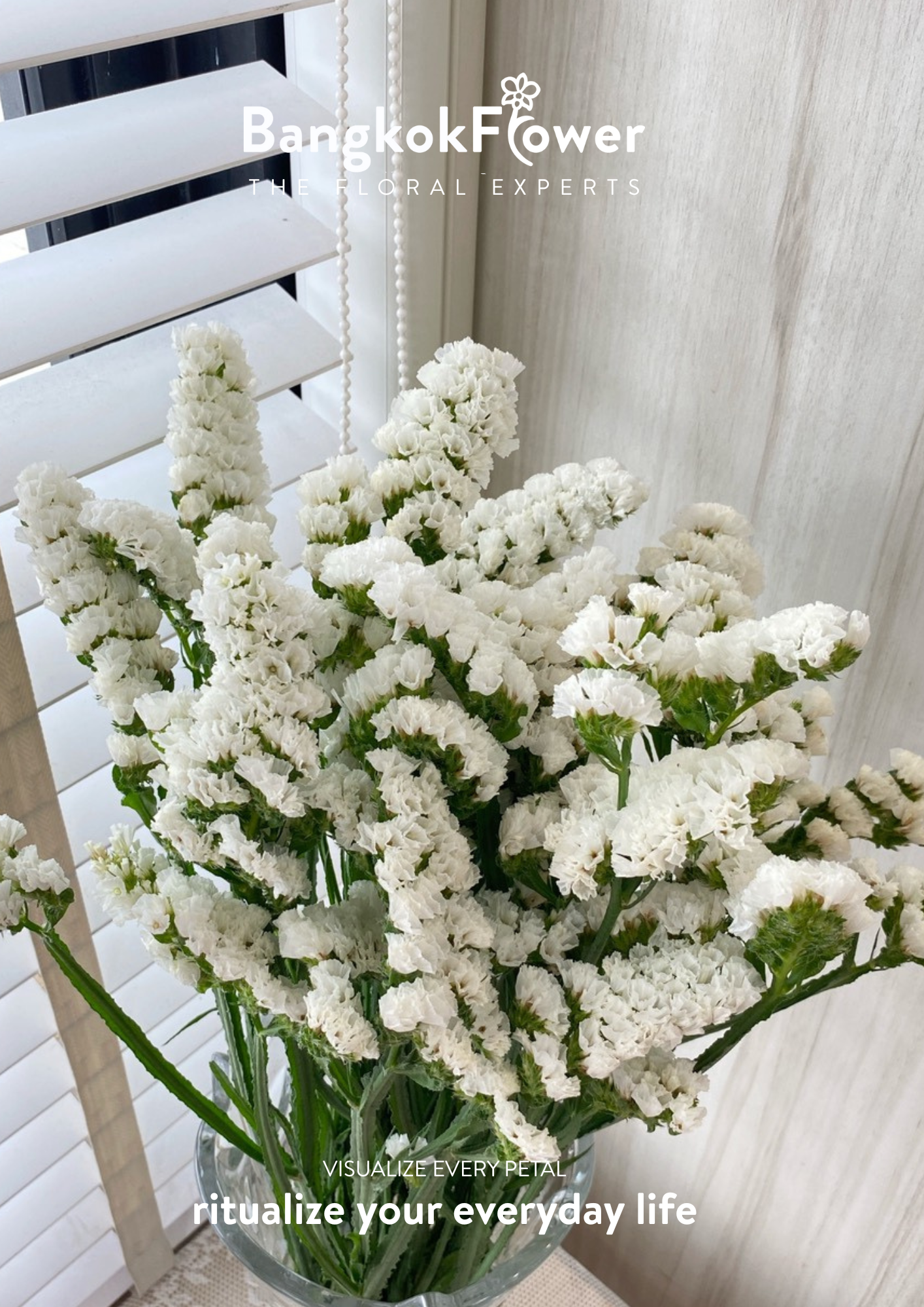 Statice White